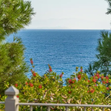 Niki With Swimming Pool فيلة *